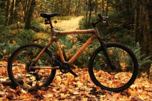 bamboobike.jpg