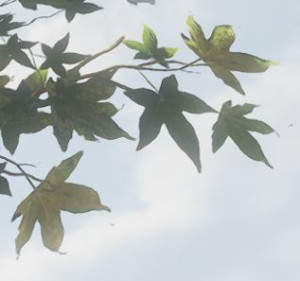 ah_dlss1.JPG