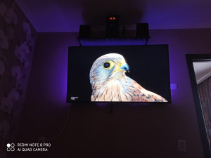 IMG_20230917_100022.jpg (4.7 МБ) 170 просмотров IMG_20230917_100022.jpg