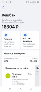 Изображение WhatsApp 2024-10-06 в 17.11.45_d1970a79.jpg