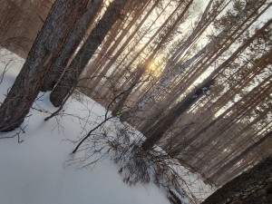 хехехех