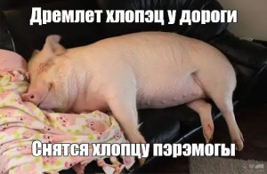 4802b8344f82b3387d6884a49f296aa3.jpg
