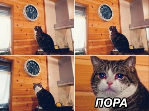 image (1).jpg