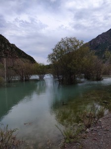 с tohdom)))