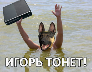 igor_tonet.jpg