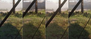 RDR2_PROfail.JPG