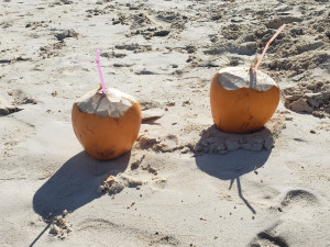 20191127_102136.jpg