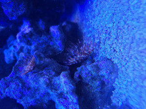 20201229_130440.jpg