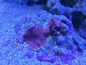 20201229_130623.jpg