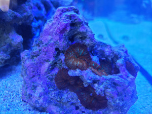 20201229_130604.jpg