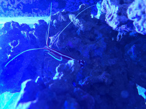 20201229_130507.jpg