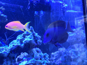 20201229_131438.jpg