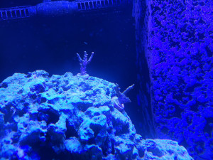 20201229_131812.jpg