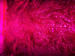 20201229_132002.jpg