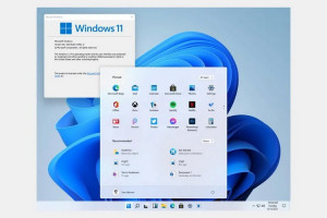windows11lede.jpg
