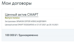 смарт.JPG