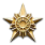 Gold Star Honorably