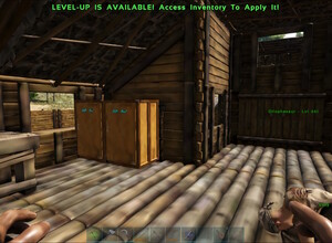 Внутреннее пространство деревянного строения с двумя шкафами и деревянным полом.